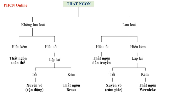 Mất thực dụng và mất ngôn ngữ