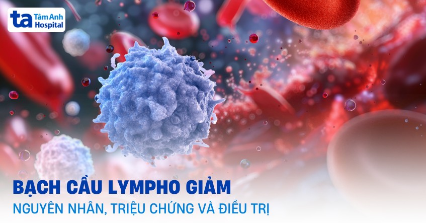 Nguyên nhân giảm bạch cầu lympho