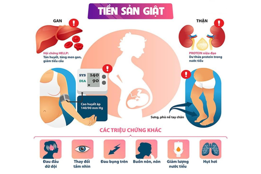 Siêu âm tim chẩn đoán bệnh cơ tim chu sản