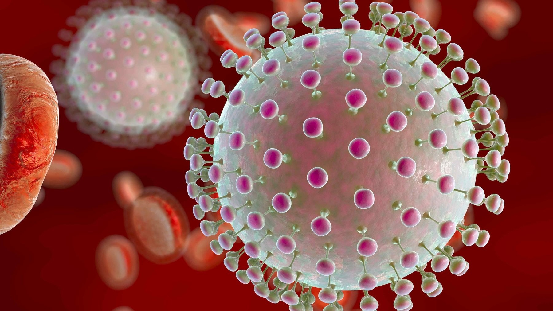 Nhiễm Cryptosporidium: Bệnh lý tiêu chảy nguy hiểm từ ký sinh trùng 8 Biểu hiện bệnh Cryptosporidium ở trẻ em