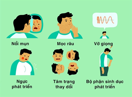 Dậy Thì Muộn Là Gì? Nguyên Nhân, Triệu Chứng Và Cách Điều Trị 4 Biểu hiện dậy thì muộn ở trẻ
