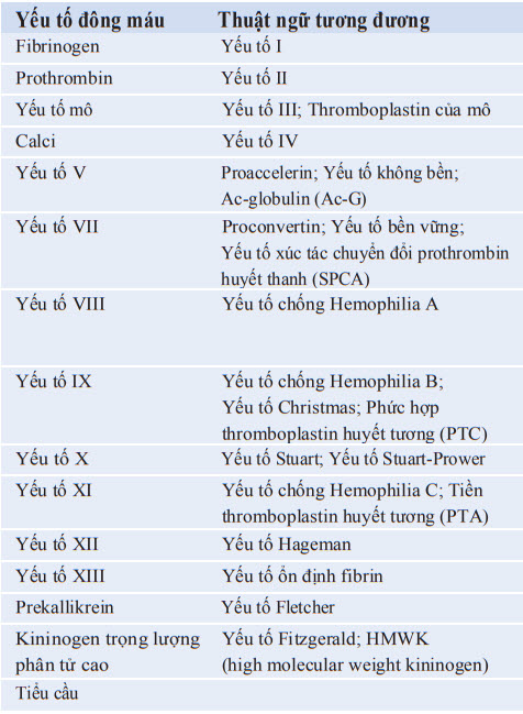 Thiếu Yếu Tố Đông Máu X: Nguyên Nhân, Triệu Chứng, Chẩn Đoán Và Điều Trị 8 Các yếu tố đông máu trong cơ thể