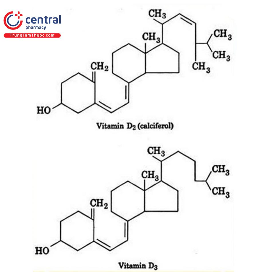 Cấu trúc và chuyển hóa calcifediol