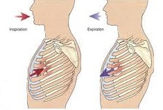 X-quang gãy xương sườn