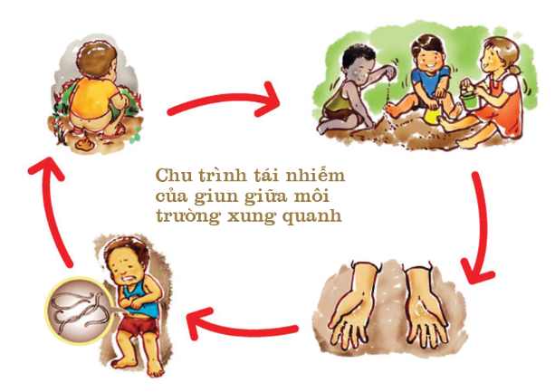 chu trình sinh học giun tóc