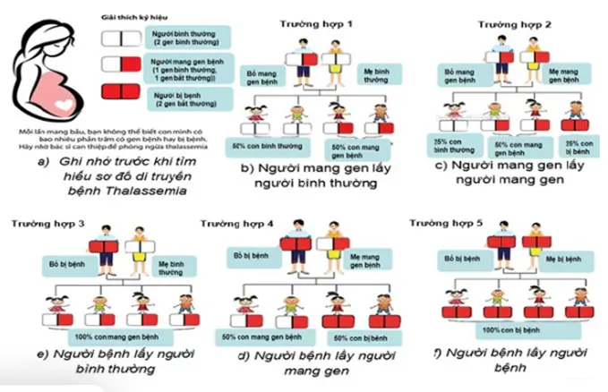 Cơ chế di truyền của bệnh Thalassemia