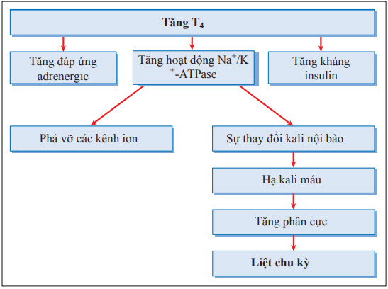 Cơ chế liệt chu kỳ