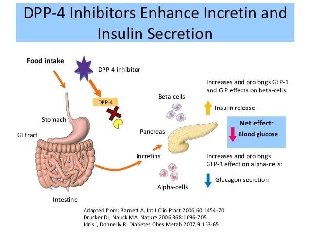 Cơ chế hoạt động của Saxagliptin