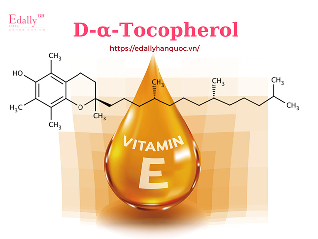 Alpha-Tocopherol (Vitamin E): 'Chiến Binh' Chống Gốc Tự Do, Bảo Vệ Tế Bào 8 Vitamin E chống gốc tự do