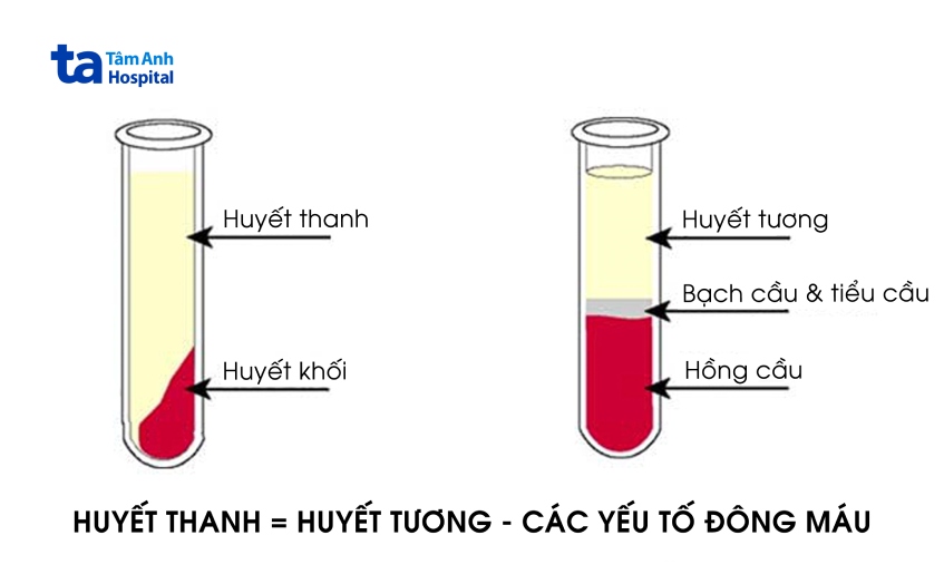 phản ứng miễn dịch với huyết thanh
