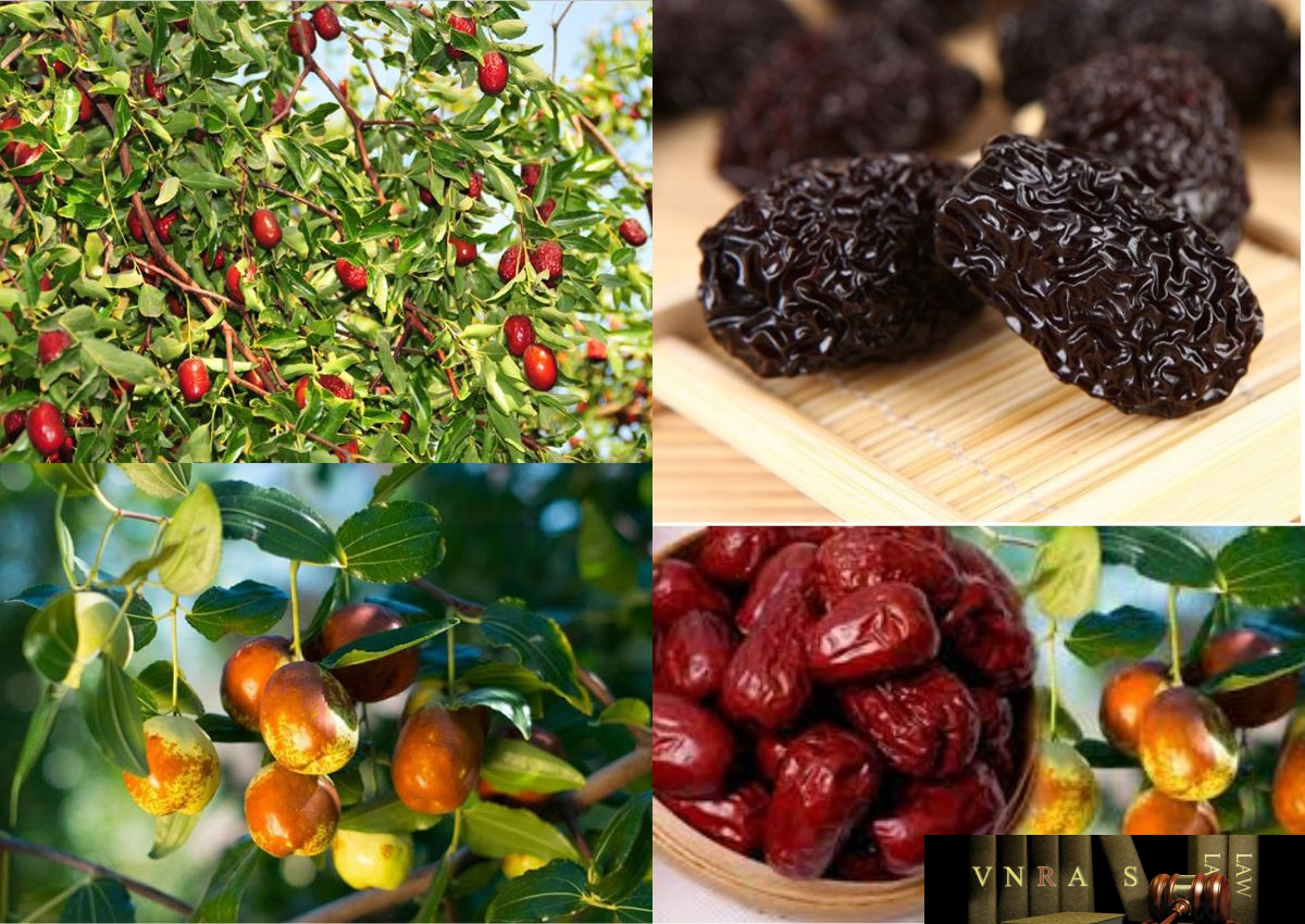 quả đại táo nguyên liệu