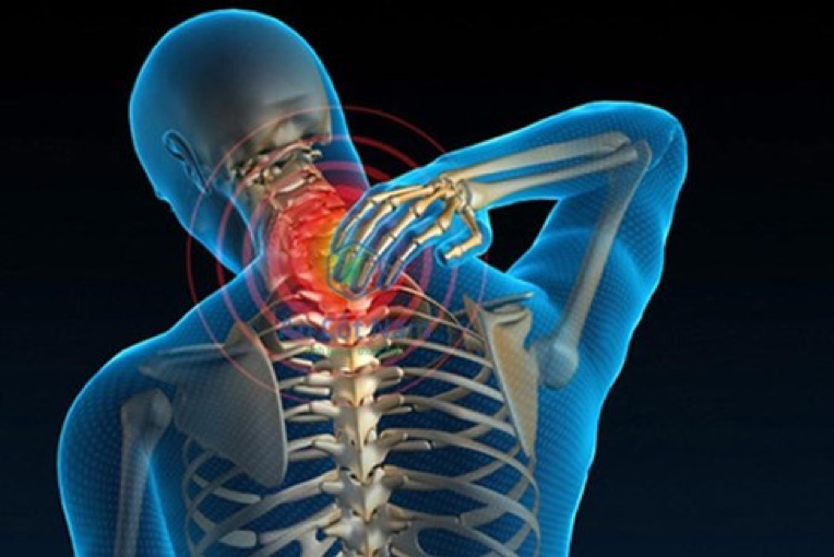 Cấu trúc đốt sống cổ