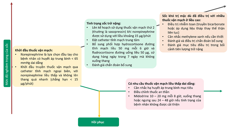 Cơ chế tác dụng của Norepinephrine