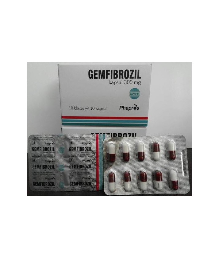 liều dùng gemfibrozil