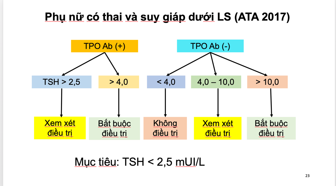 Cấu tạo tuyến giáp