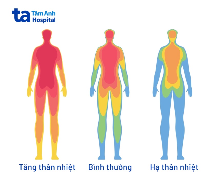 Thân Nhiệt Thấp Bất Thường: Khi Cơ Thể Gửi Tín Hiệu Cầu Cứu 7 thân nhiệt thấp bất thường