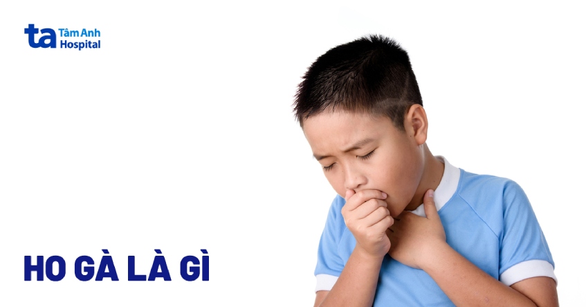 Bệnh Ho Gà: Nguyên Nhân, Triệu Chứng, Cách Phòng Ngừa và Điều Trị 8 Triệu chứng ho gà