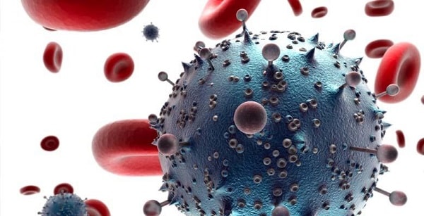Virus HIV tấn công hệ miễn dịch