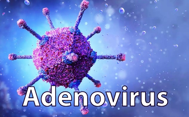 Nhiễm Adenovirus: Những Điều Cần Biết Để Phòng Ngừa Và Xử Lý Hiệu Quả 2 image 150