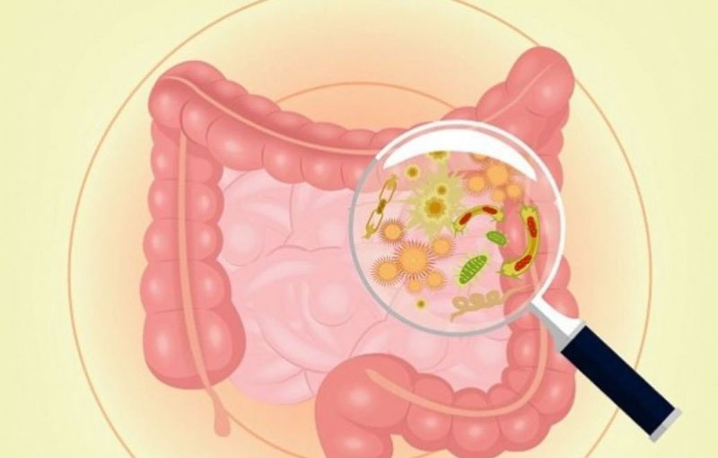 Nhiễm Virus Rota Gây Tiêu Chảy: Nguyên Nhân, Triệu Chứng Và Hướng Điều Trị Hiệu Quả 2 image 161
