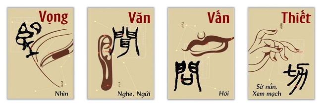 Hiểu Rõ Tứ Chẩn Trong Đông Y: Nền Tảng Chẩn Đoán Và Điều Trị Hiệu Quả 2 image 201