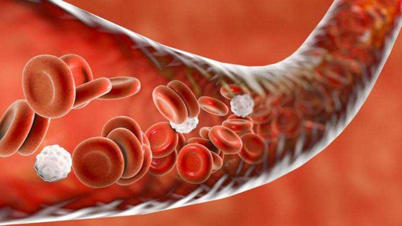 Tăng magnesi máu: Nguyên nhân, dấu hiệu và cách điều trị hiệu quả 3 image 30