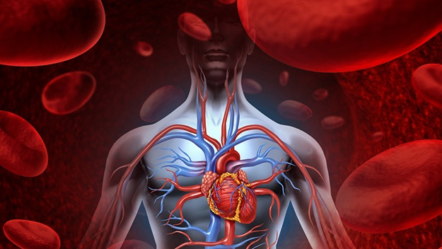 Tăng Homocysteine máu: Dấu hiệu tiềm ẩn của nhiều bệnh lý nghiêm trọng 4 image 47