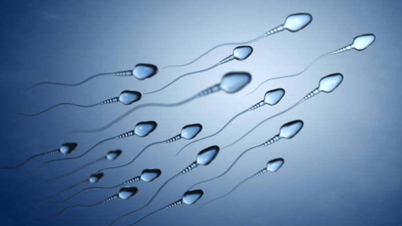 Tinh Trùng Ít (Oligospermia): Nguyên Nhân, Triệu Chứng Và Hướng Điều Trị Hiệu Quả 3 image 59