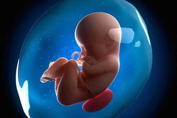 Vỡ ối non: Hiểu đúng để bảo vệ mẹ và thai nhi 2 image 67