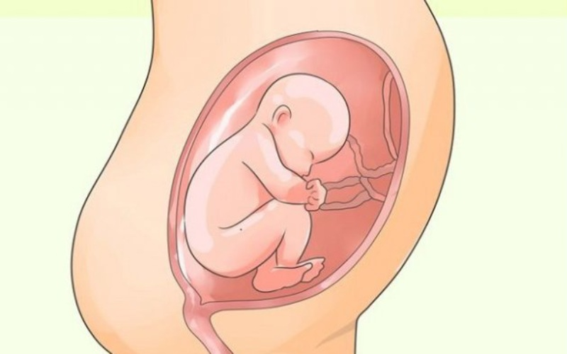 Suy nhau thai: Nguy cơ tiềm ẩn đối với thai nhi và cách xử lý kịp thời 2 image 69