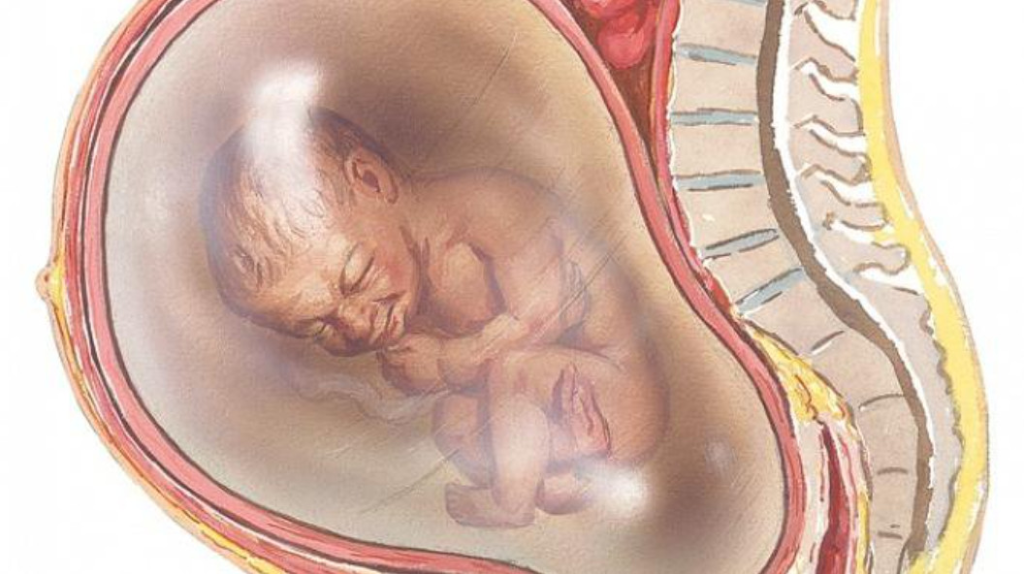 Đa ối: Nguyên nhân, dấu hiệu và cách xử trí hiệu quả 2 image 70
