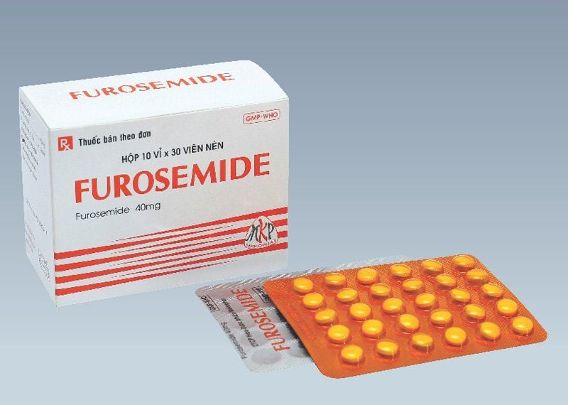 Phối Hợp Furosemide và Lợi Tiểu Giữ Kali: Cân Bằng Hiệu Quả và An Toàn 2 image 90