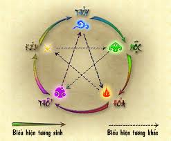 Chuyển hóa âm dương trong cơ thể