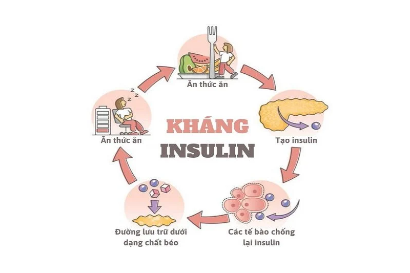 Kháng insulin và béo phì