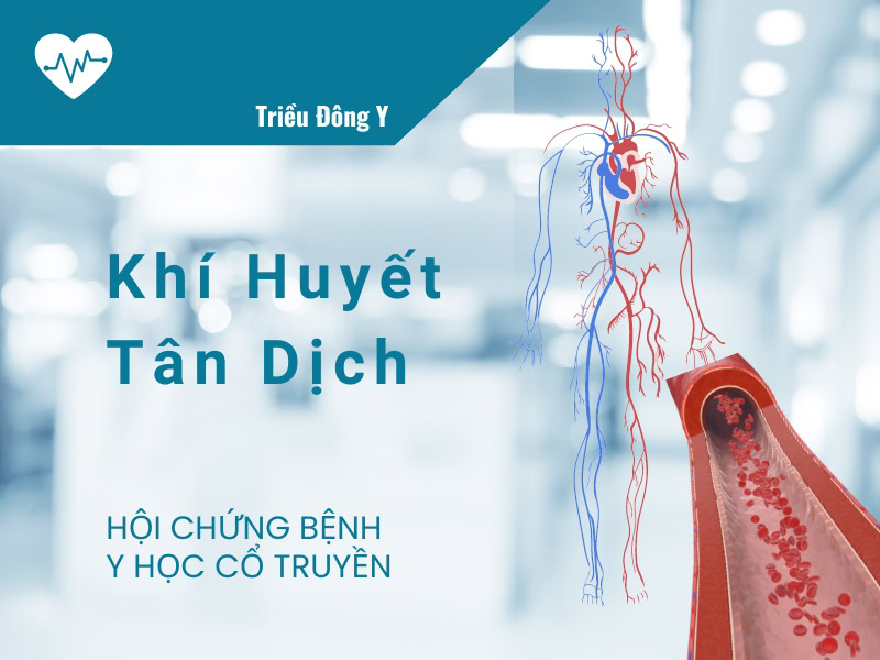 Phân loại tân dịch trong Đông y