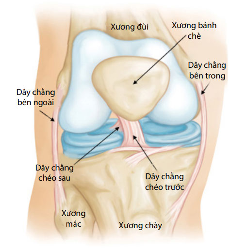 Chấn thương ACL do thể thao