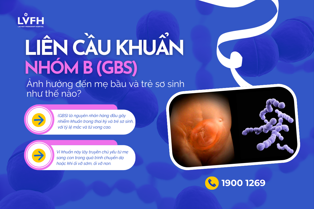 Vi khuẩn GBS dưới kính hiển vi