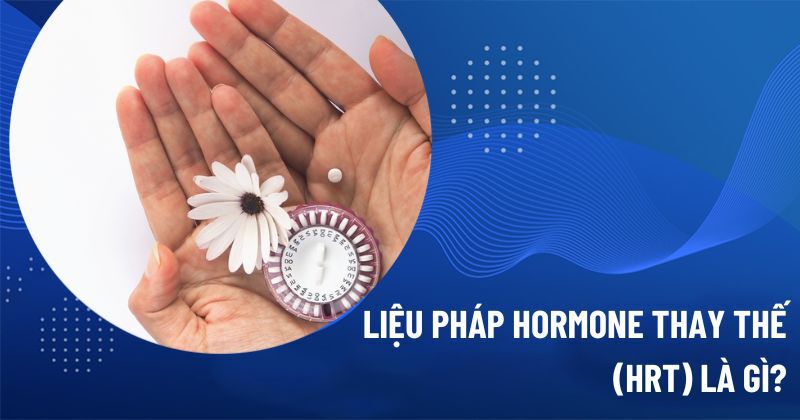 Ứng dụng Estradiol trong HRT