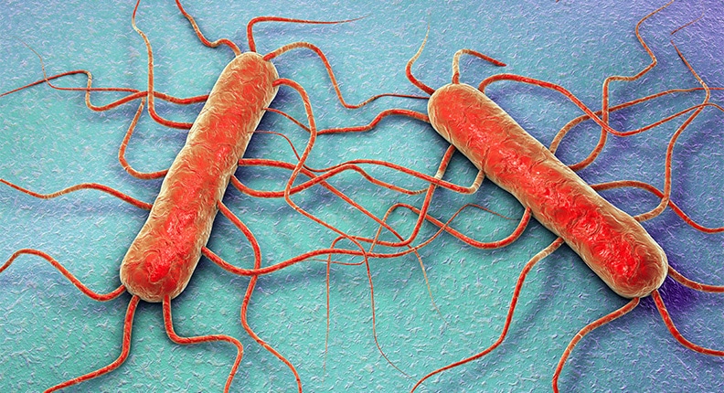 Triệu chứng Listeria ở mẹ bầu