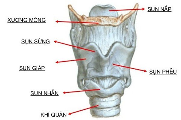 mềm sụn khí quản ở trẻ