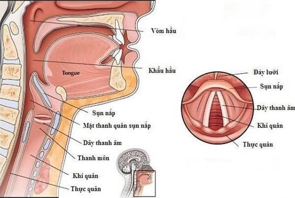 Mềm sụn thanh quản: Hiểu đúng về bệnh lý thường gặp ở trẻ sơ sinh 8 trẻ sơ sinh thở rít