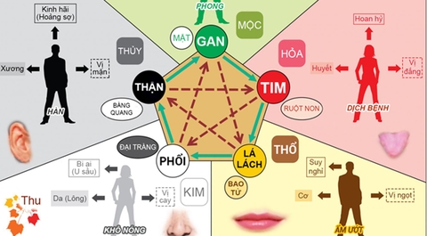 Dưỡng sinh điều hòa ngũ tạng