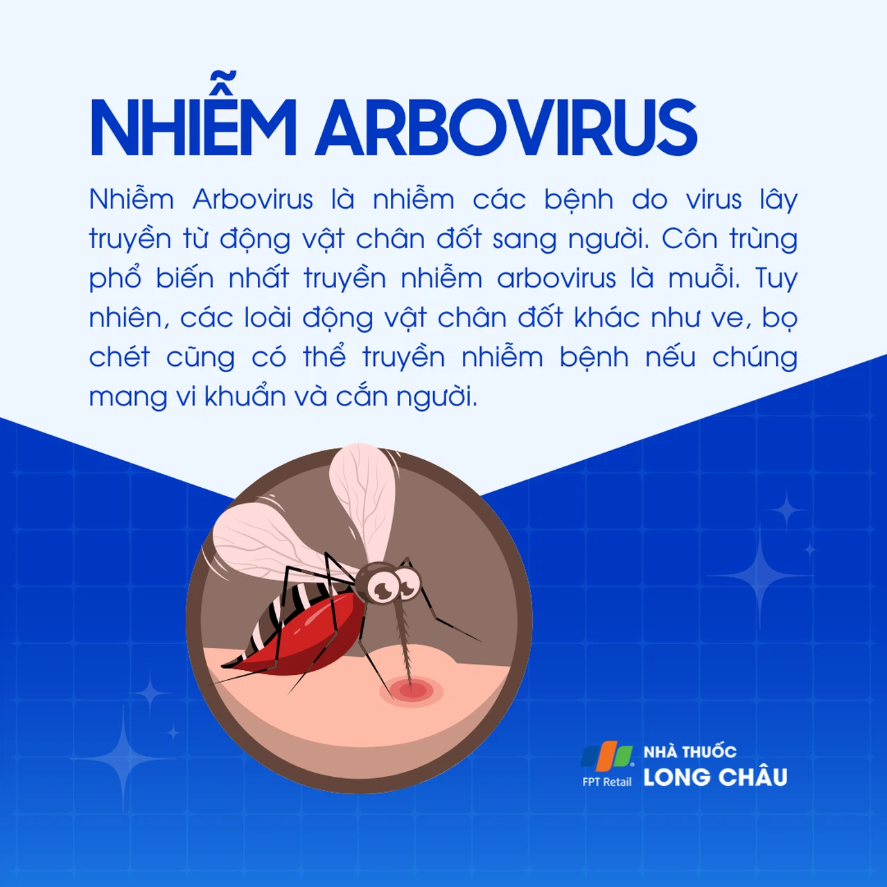 Bệnh do Bunyavirus: Những điều bạn cần biết để bảo vệ sức khỏe 7 Muỗi truyền Bunyavirus