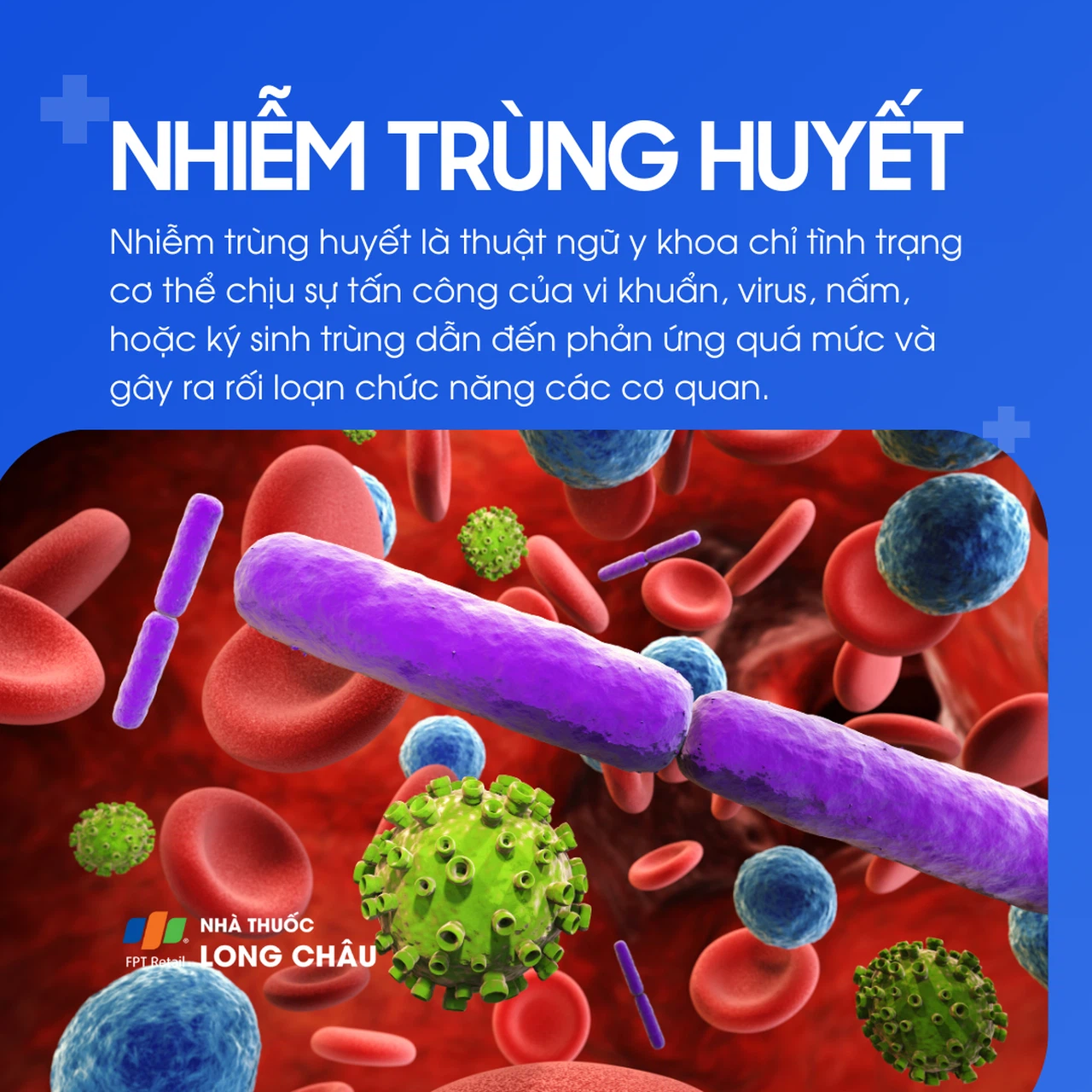 Hình ảnh minh họa nhiễm trùng huyết
