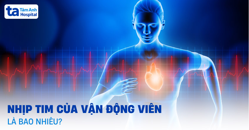 Nhịp tim ở vận động viên