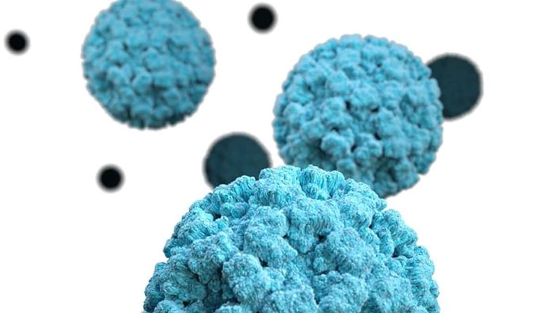 Các con đường lây nhiễm Norovirus