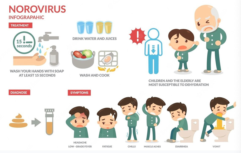 Virus Noro lây lan qua đường nào?