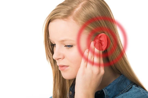 Cấu trúc tai người và vị trí dễ gây ù tai