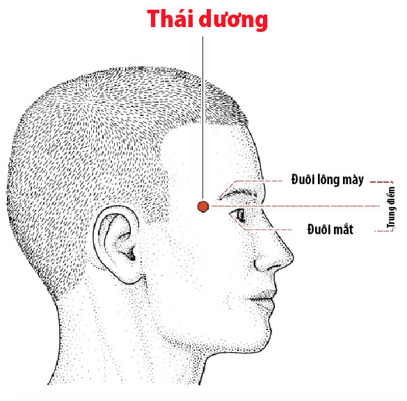 Đông y chữa sợ gió phong hàn