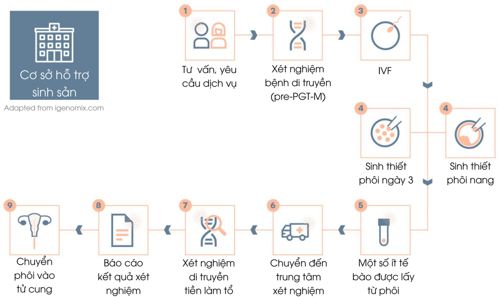 Quy trình xét nghiệm di truyền tiền làm tổ